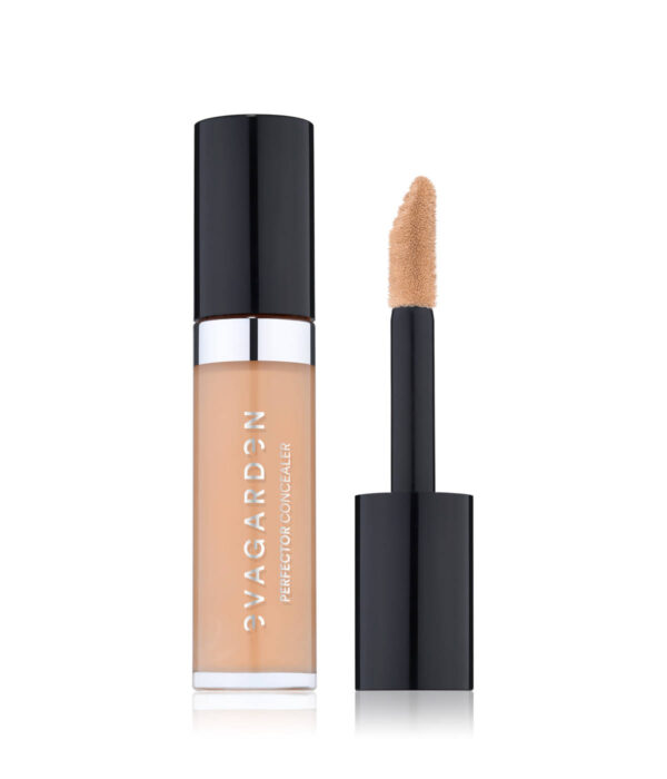 Perfector Concealer